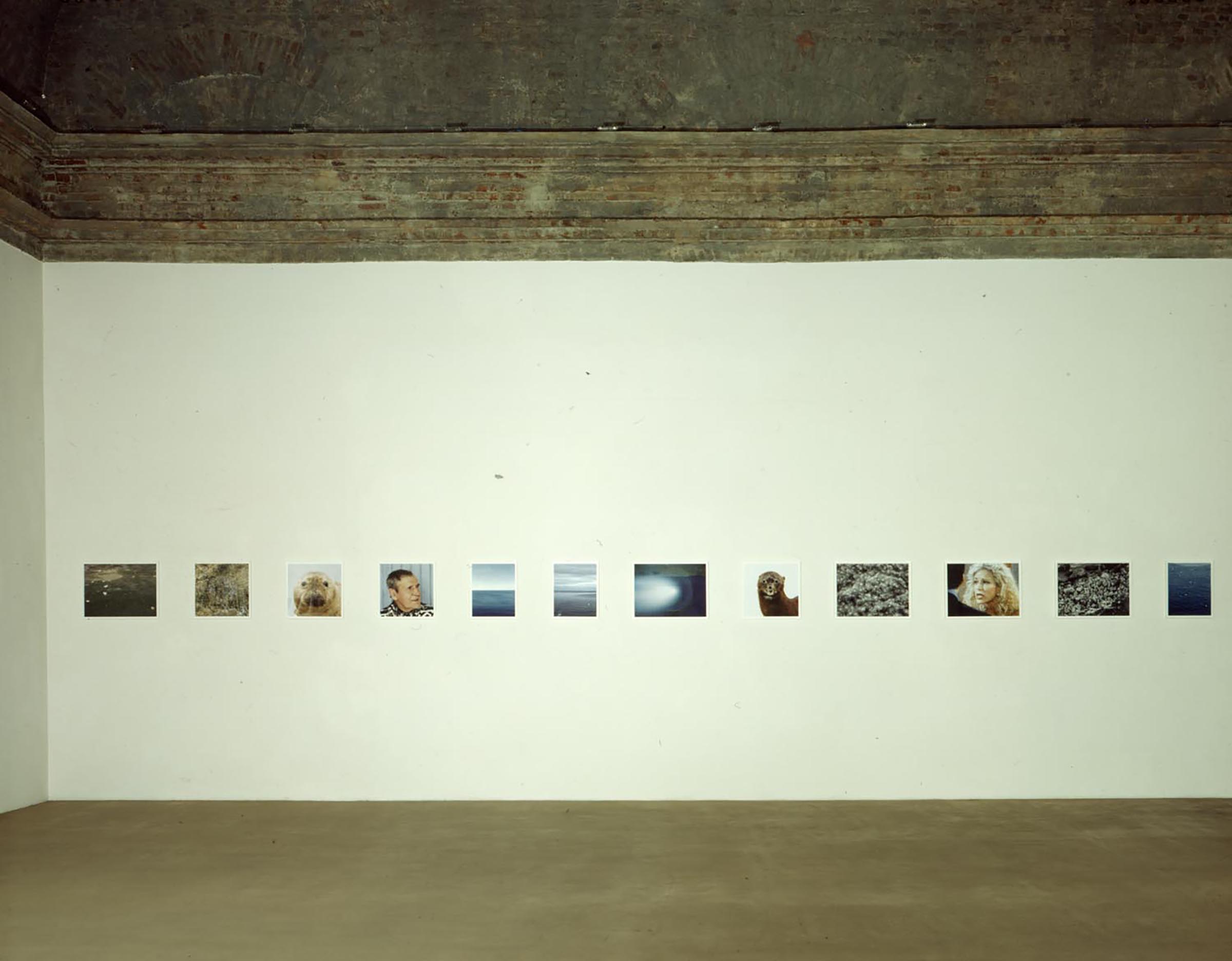 Roni Horn, Pi, 1998 (detail)